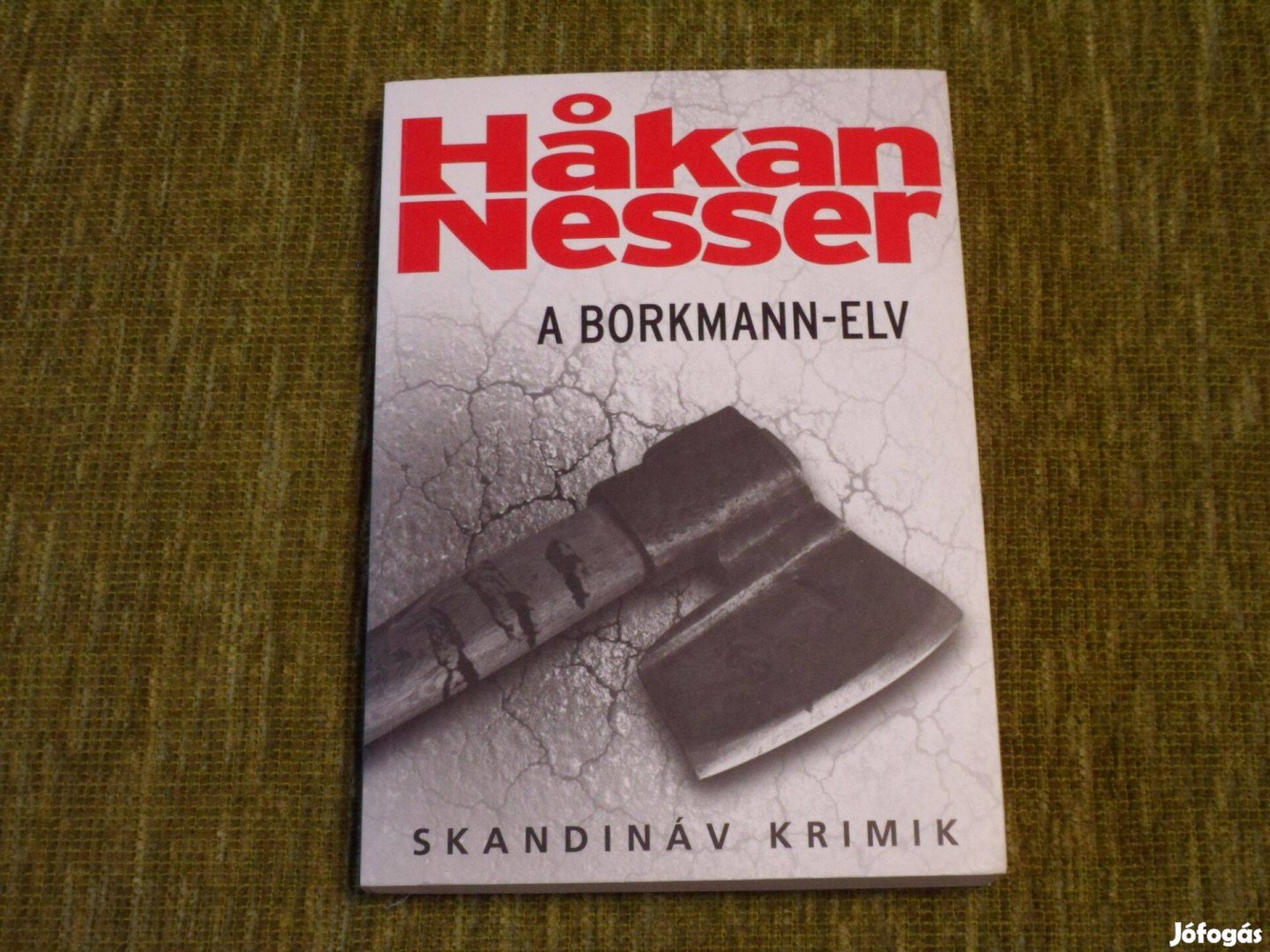 Hákan Nesser: A Borkmann-elv - skandináv krimi