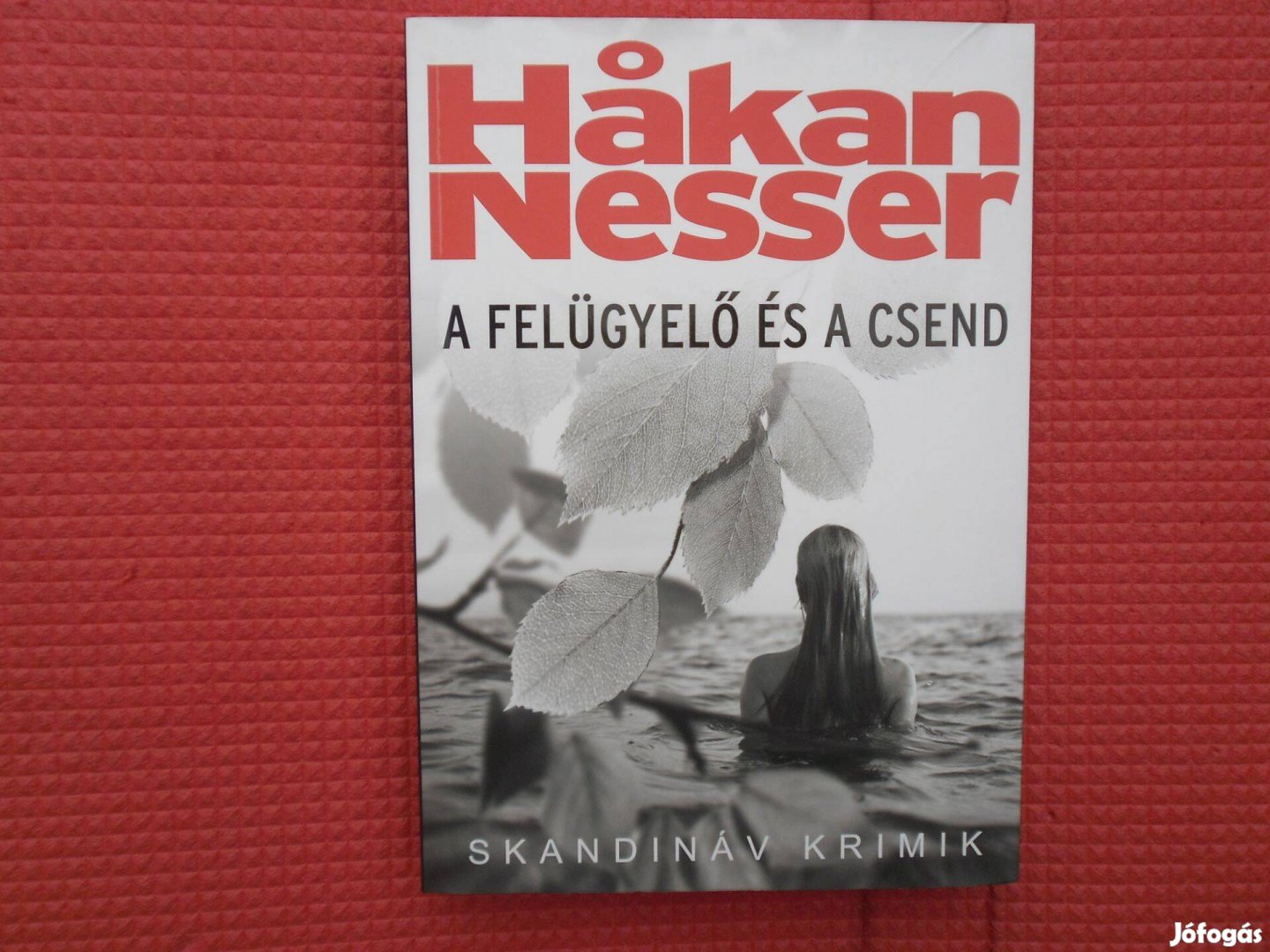 Hakan Nesser: A felügyelő és a csend /Skandináv krimik/