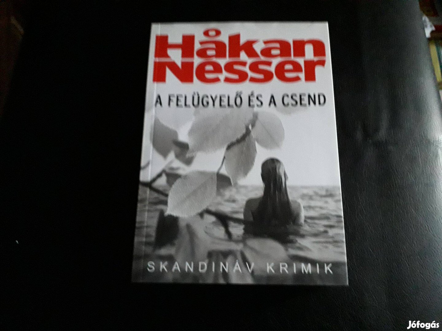 Hakan Nesser - A felügyelő és a csend