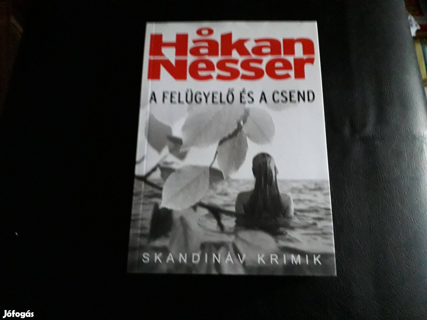 Hakan Nesser - A felügyelő és a csend