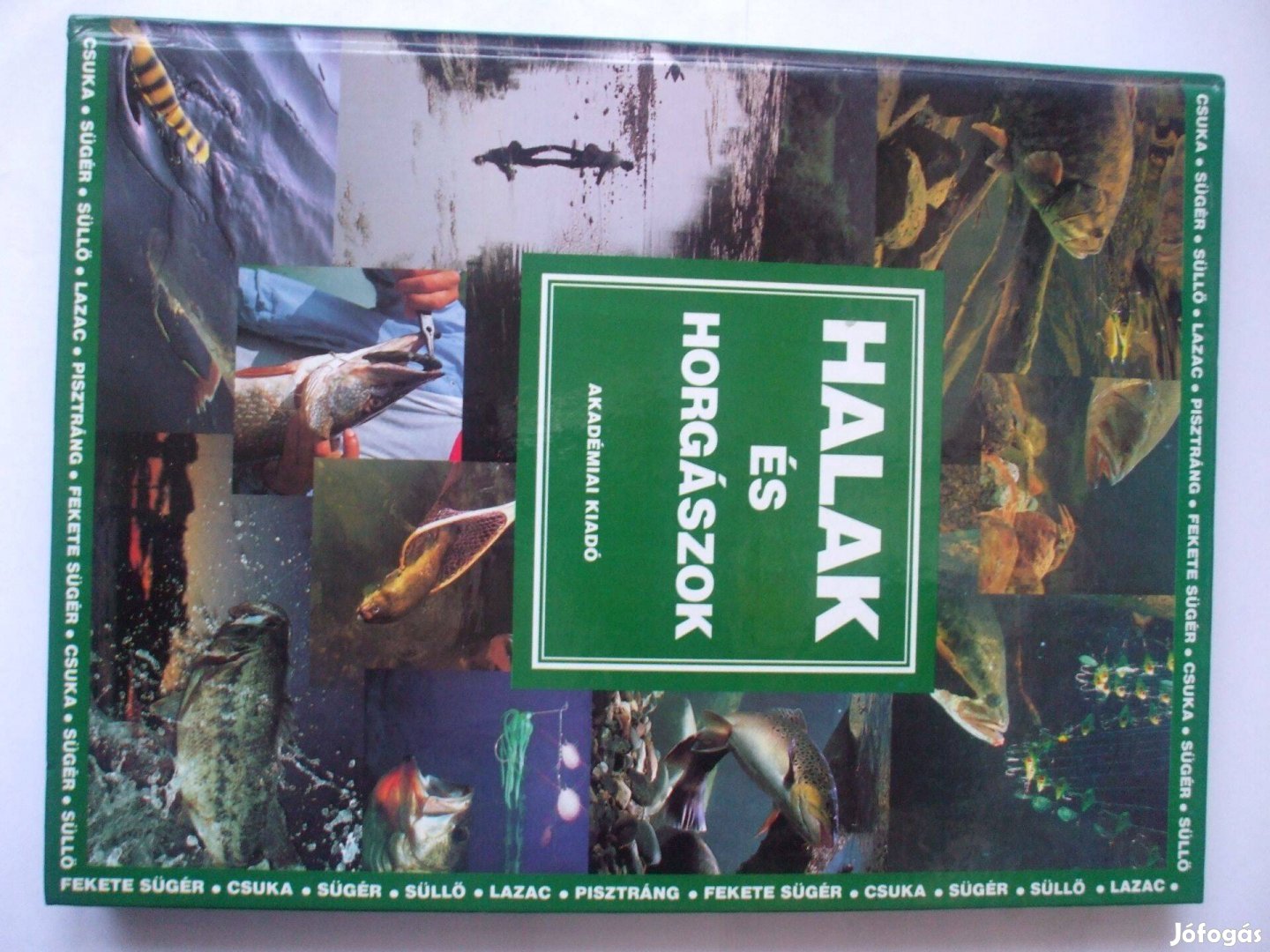 Halak és horgászok 1994. című szakkönyv megvételre javasolt