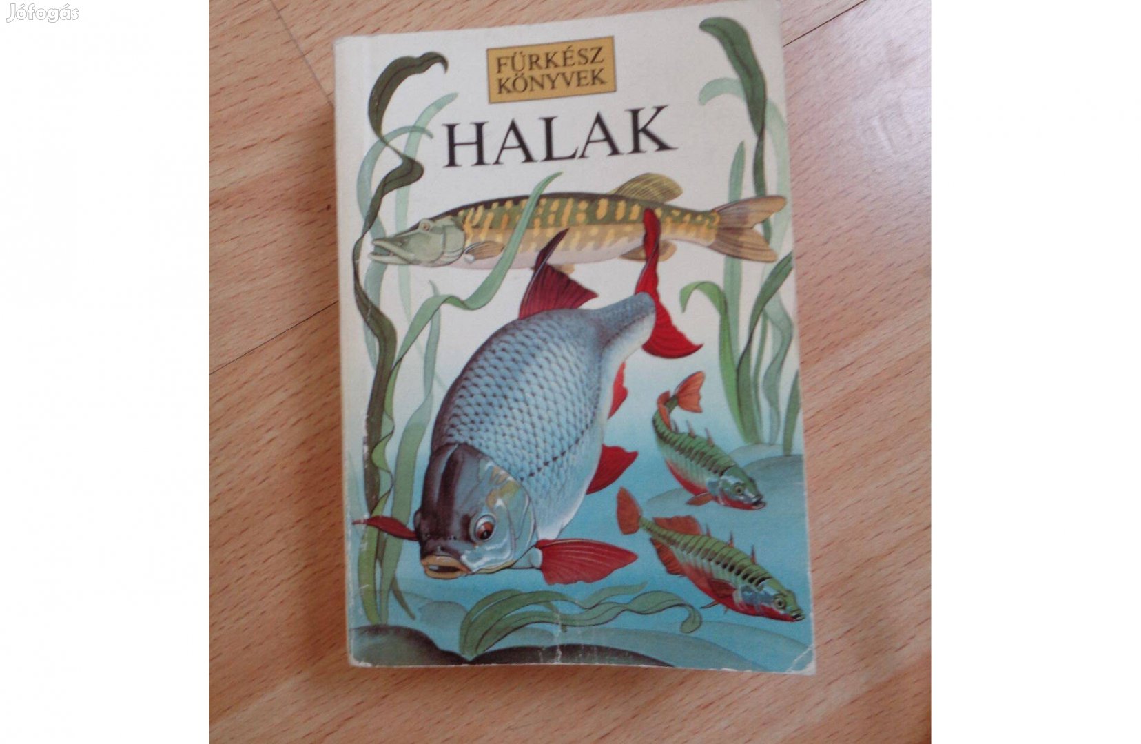 Halak fürkész könyv