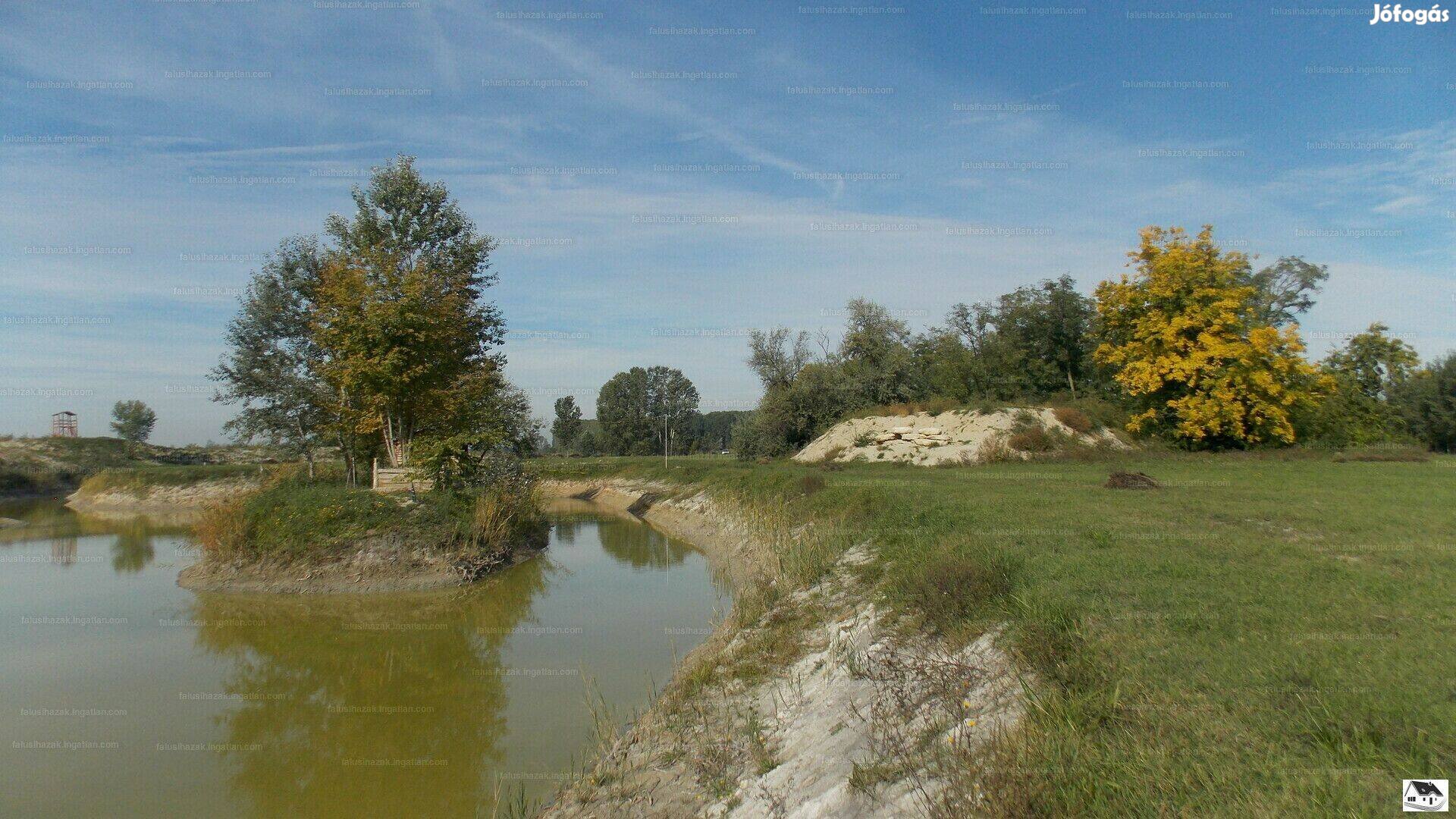 Halastavas tanya eladó Csengele és Szeged között