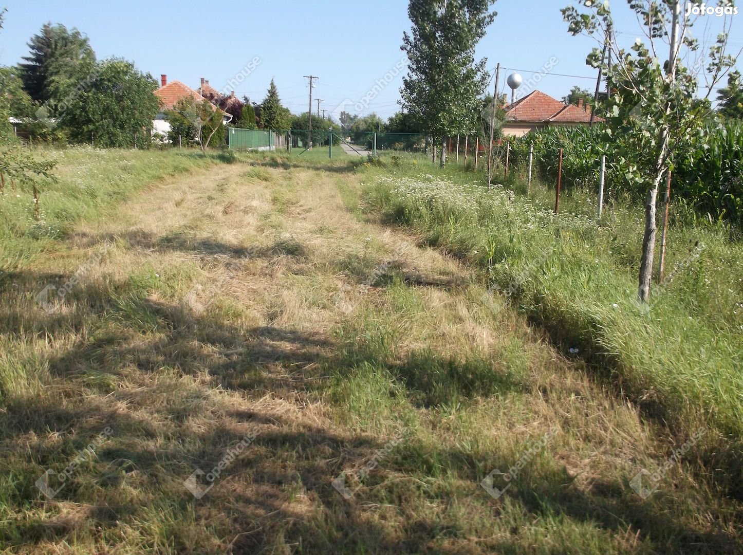 Halastó festői környezetben Tótkomlóson