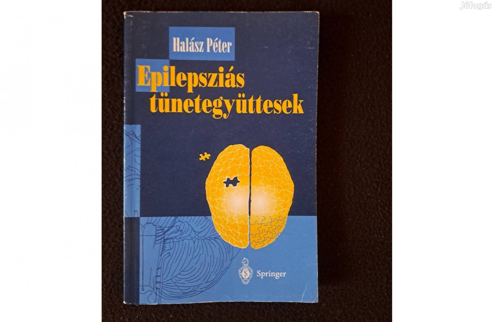 Halász Péter - Epilepsziás tünetegyüttesek