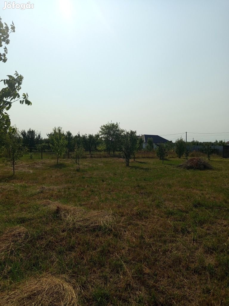Halásztelek, Bújtor István közeli utca, 1047 m2-es, telek