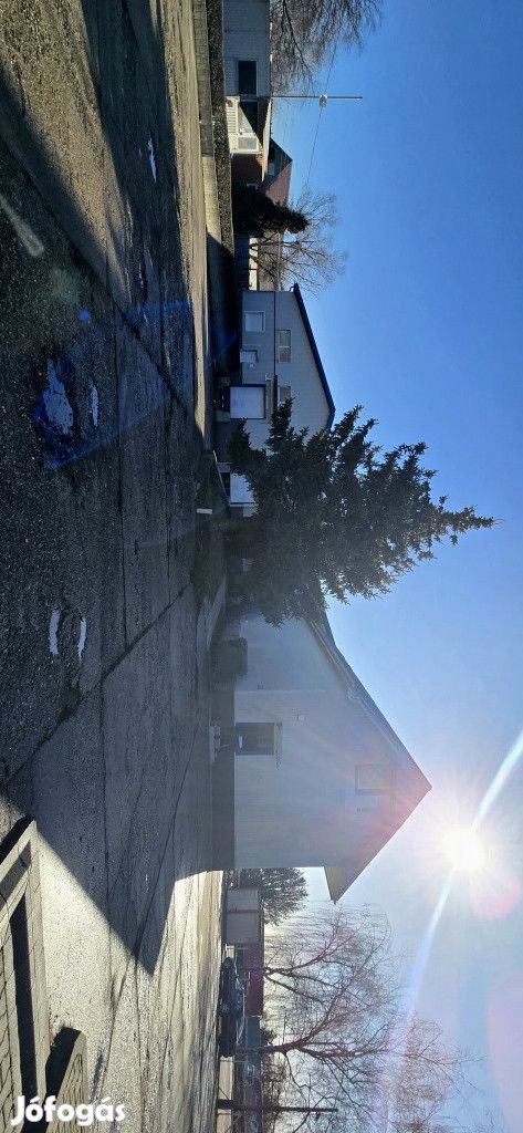 Halásztelek, II. Rákóczi Ferenc utca, 1350 m2-es, telephely