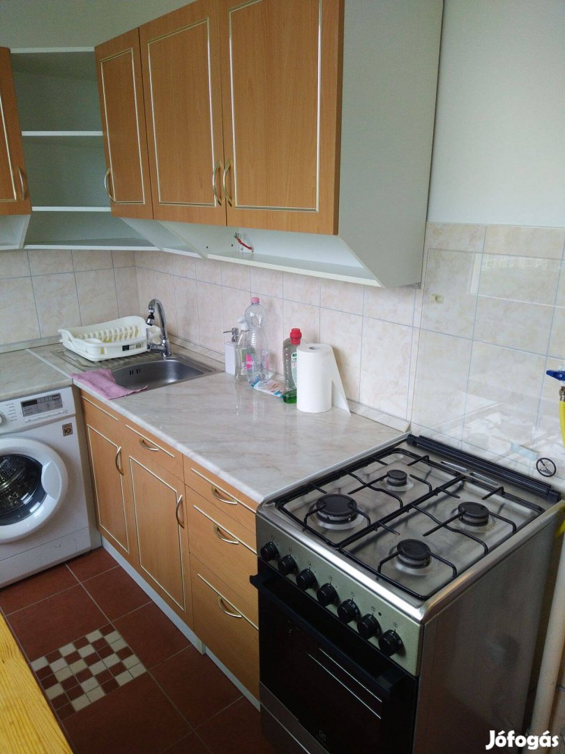 Halle úton 54 m2 bútorozott lakás kiadó
