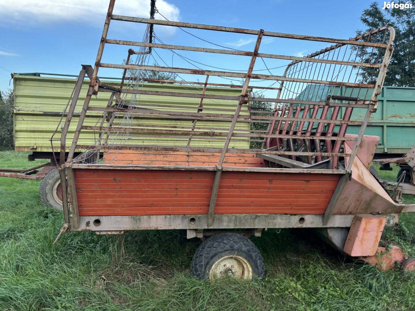 Hamster normál állapotú