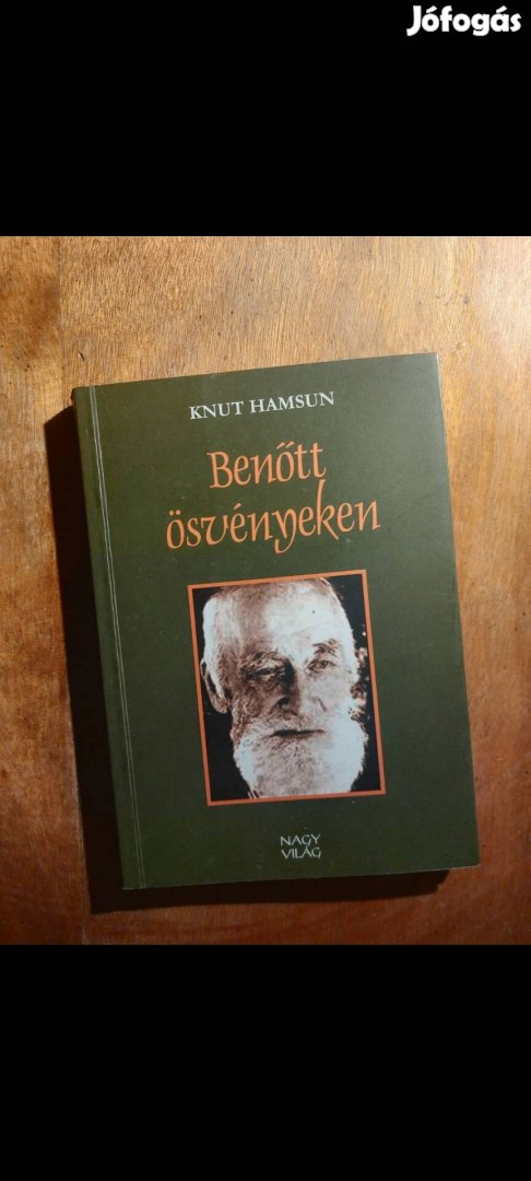 Hamsun: Benőtt ösvényeken