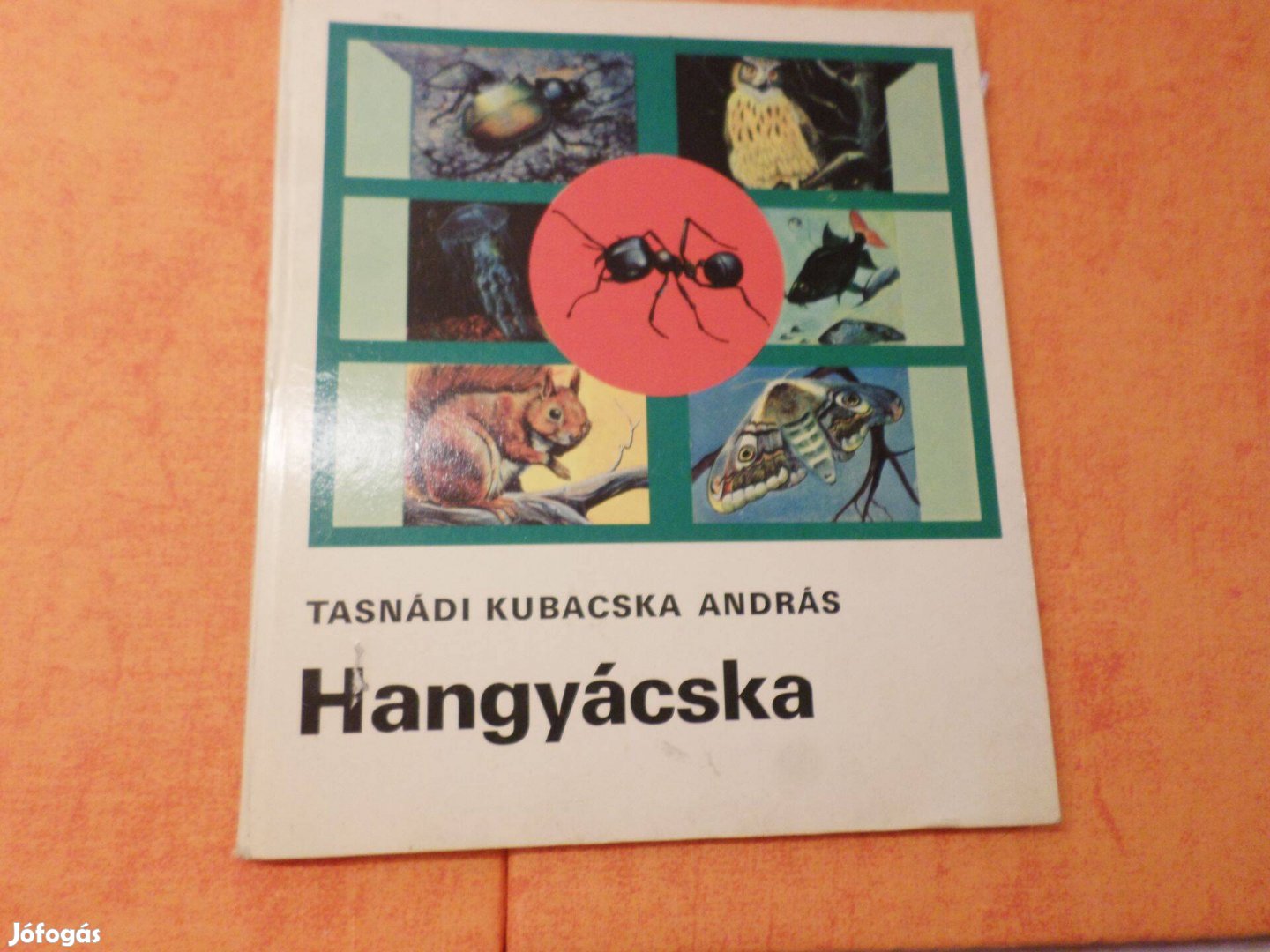 Hangyácska, 1977 Tasnádi Kubacska András Gyermekkönyv, meséskönyv