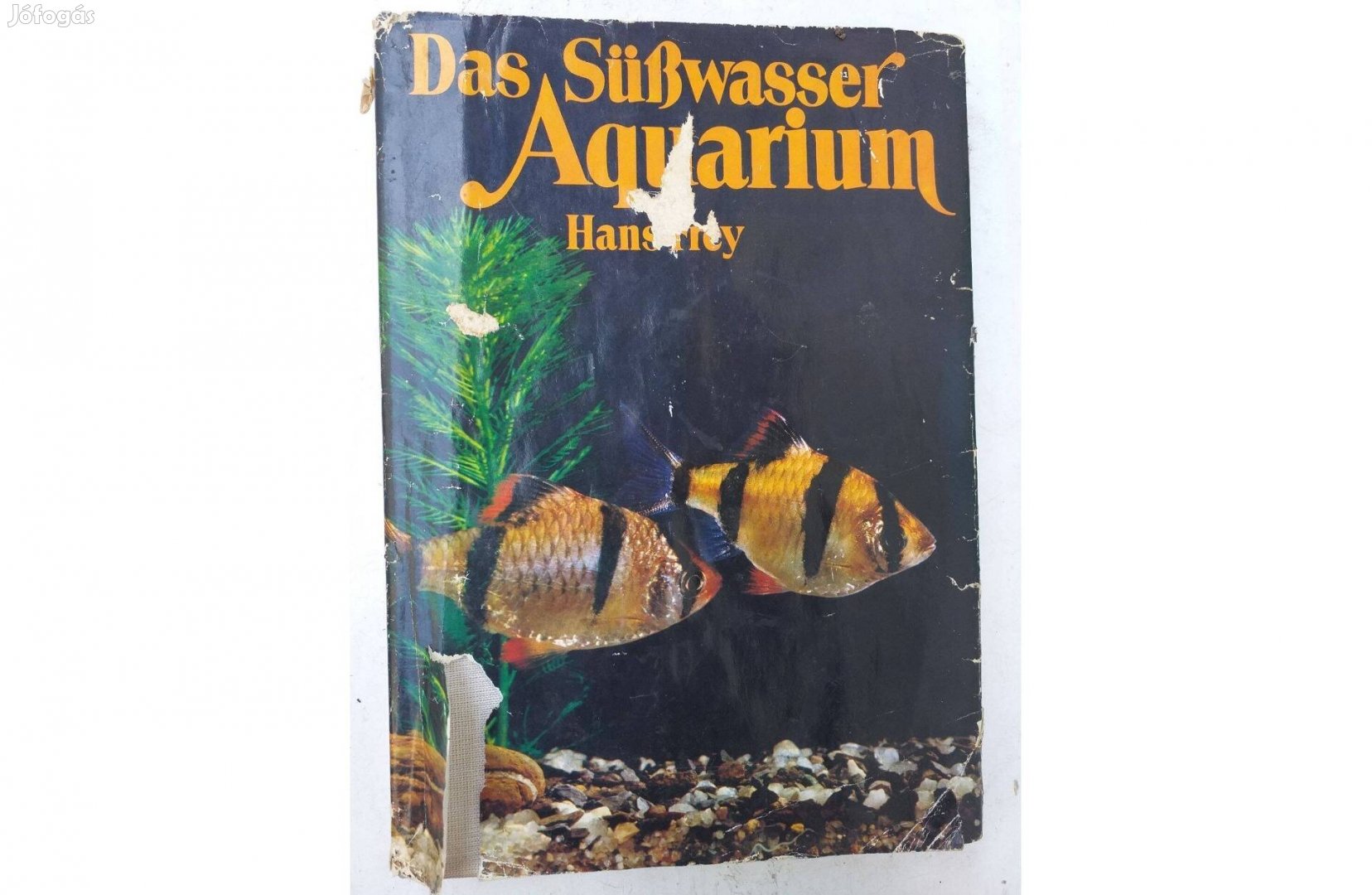 Hans Frey: Das Süsswasseraquarium