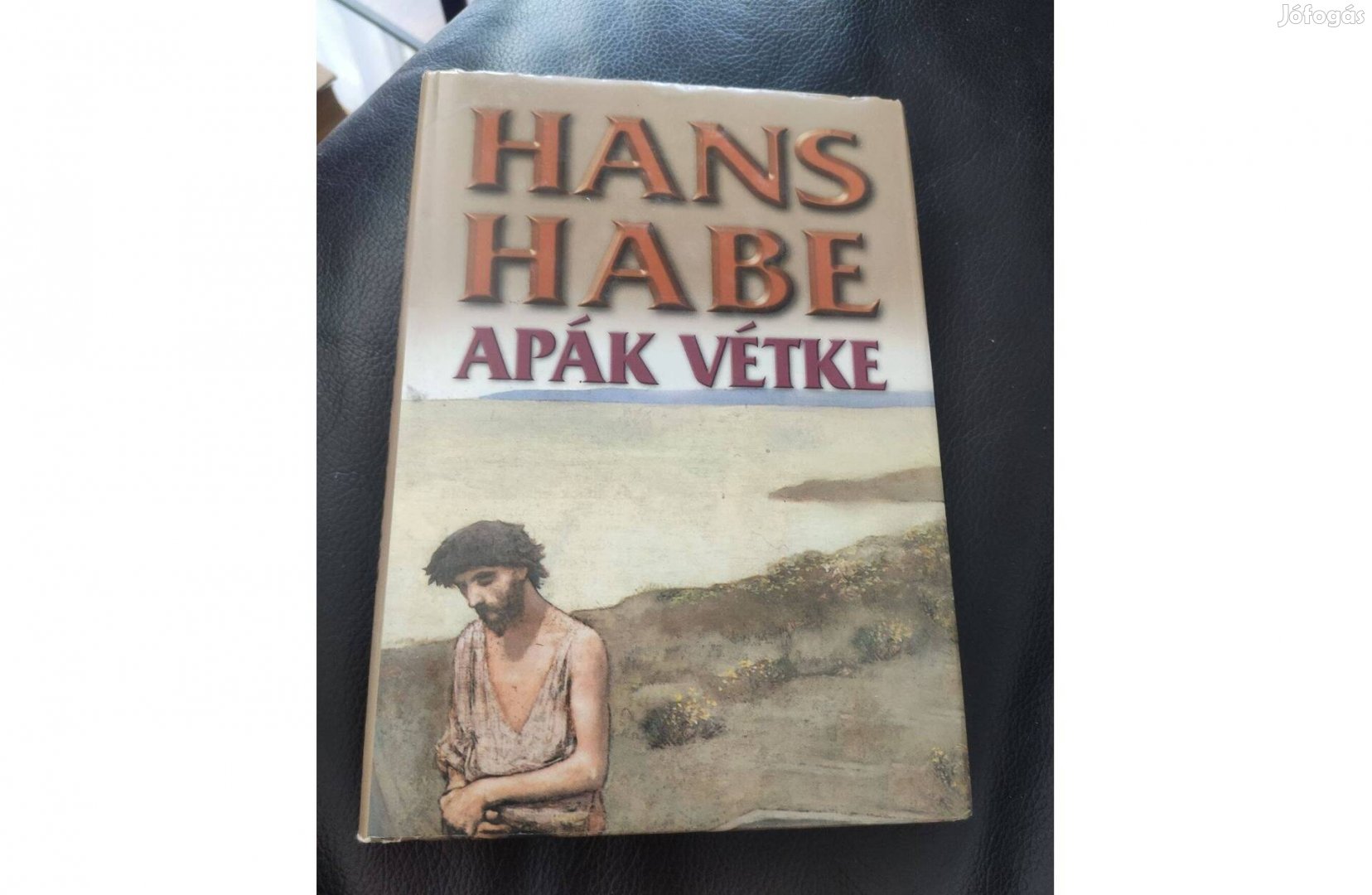 Hans Habe: Apák vétke