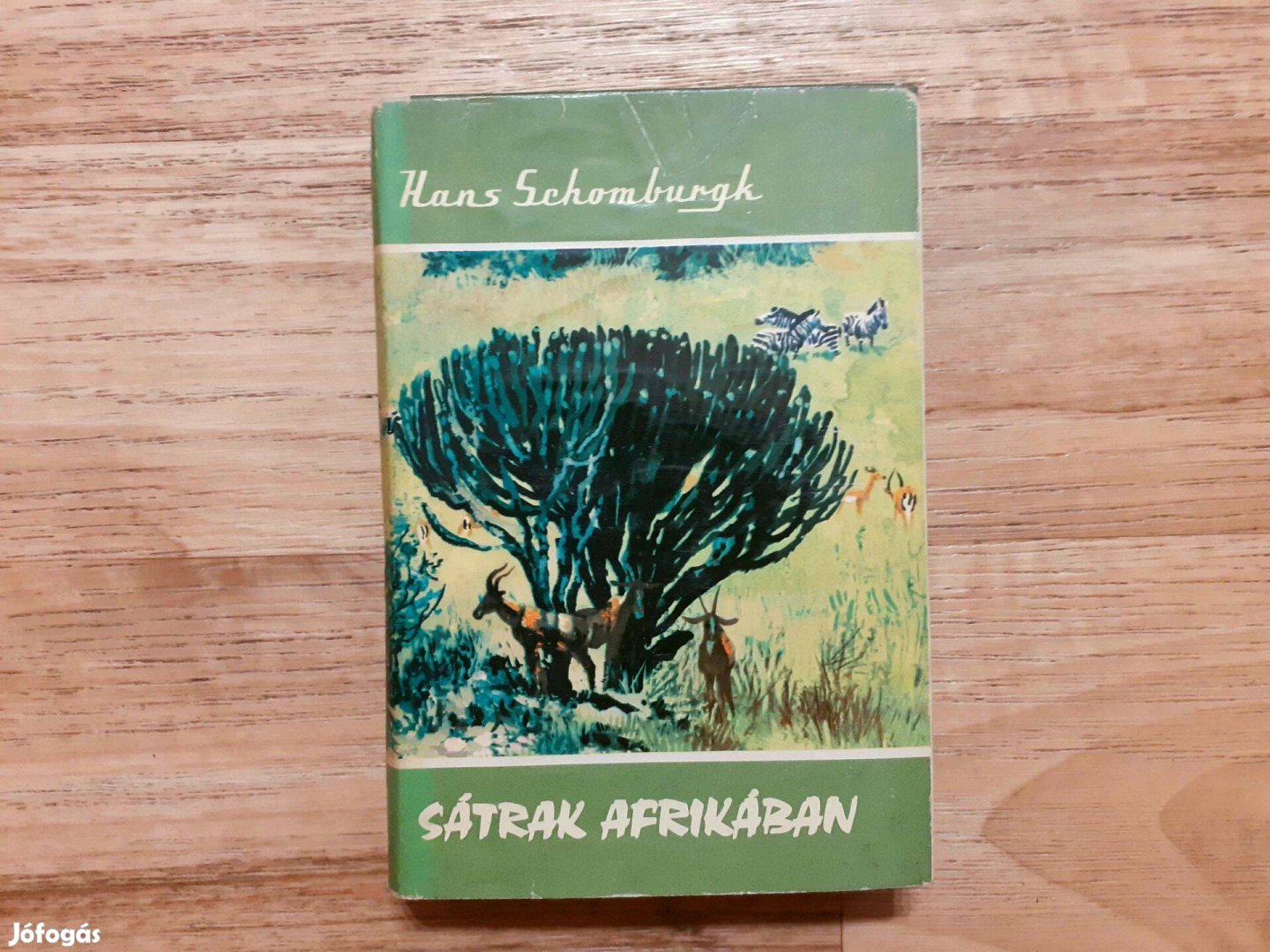 Hans Schomburgk: Sátrak Afrikában