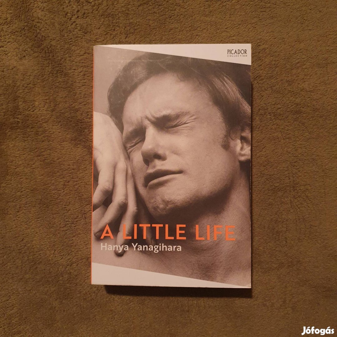 Hanya Yanagihara: A Little Life könyv