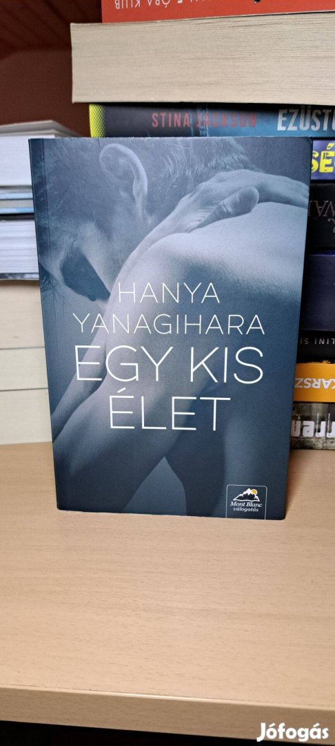 Hanya Yanagihara: Egy kis élet