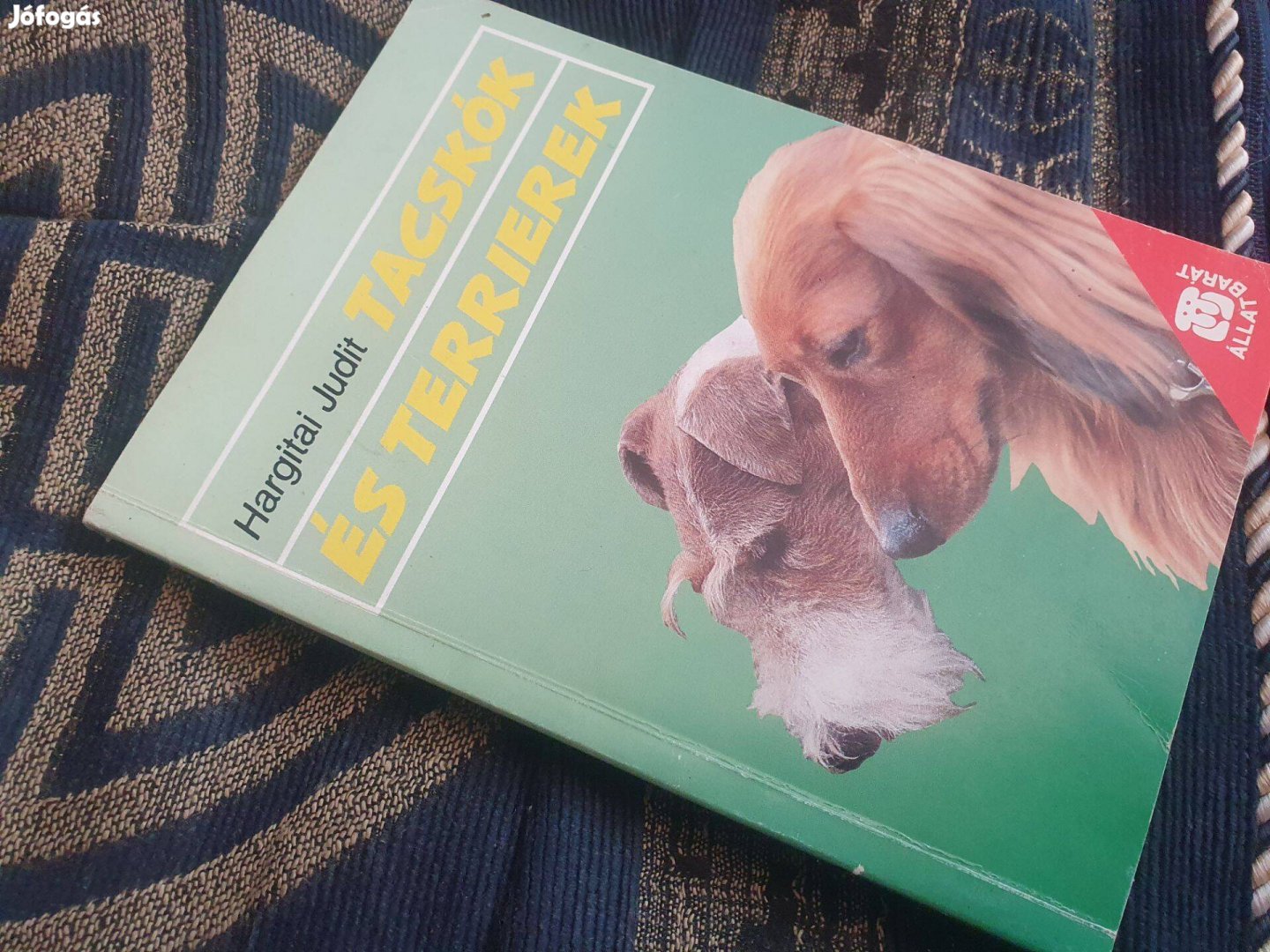 Hargitai Judit Tacskók és terrierek kutyajátékok