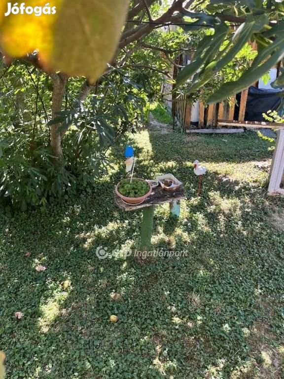 Harkányi 222 nm-es telek eladó