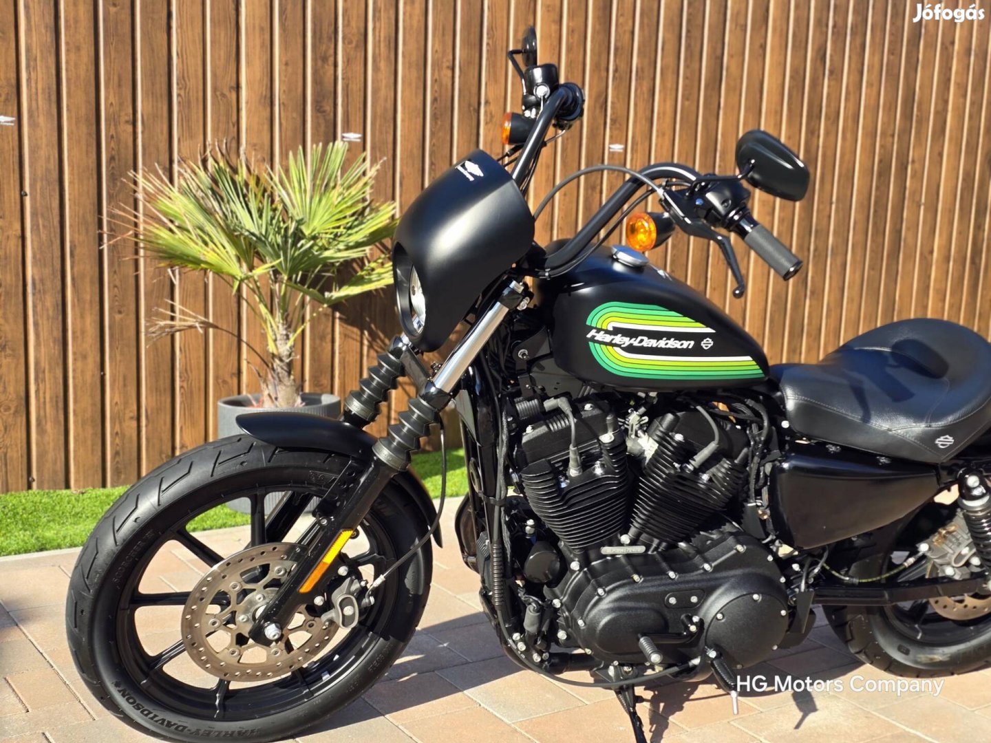 Harley-Davidson Sportster 1200 Custom Iron 1200