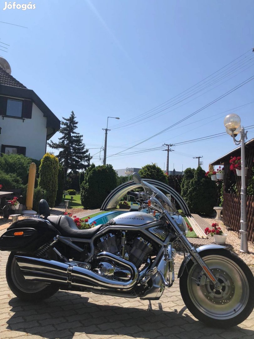 Harley Davidson V-road motor