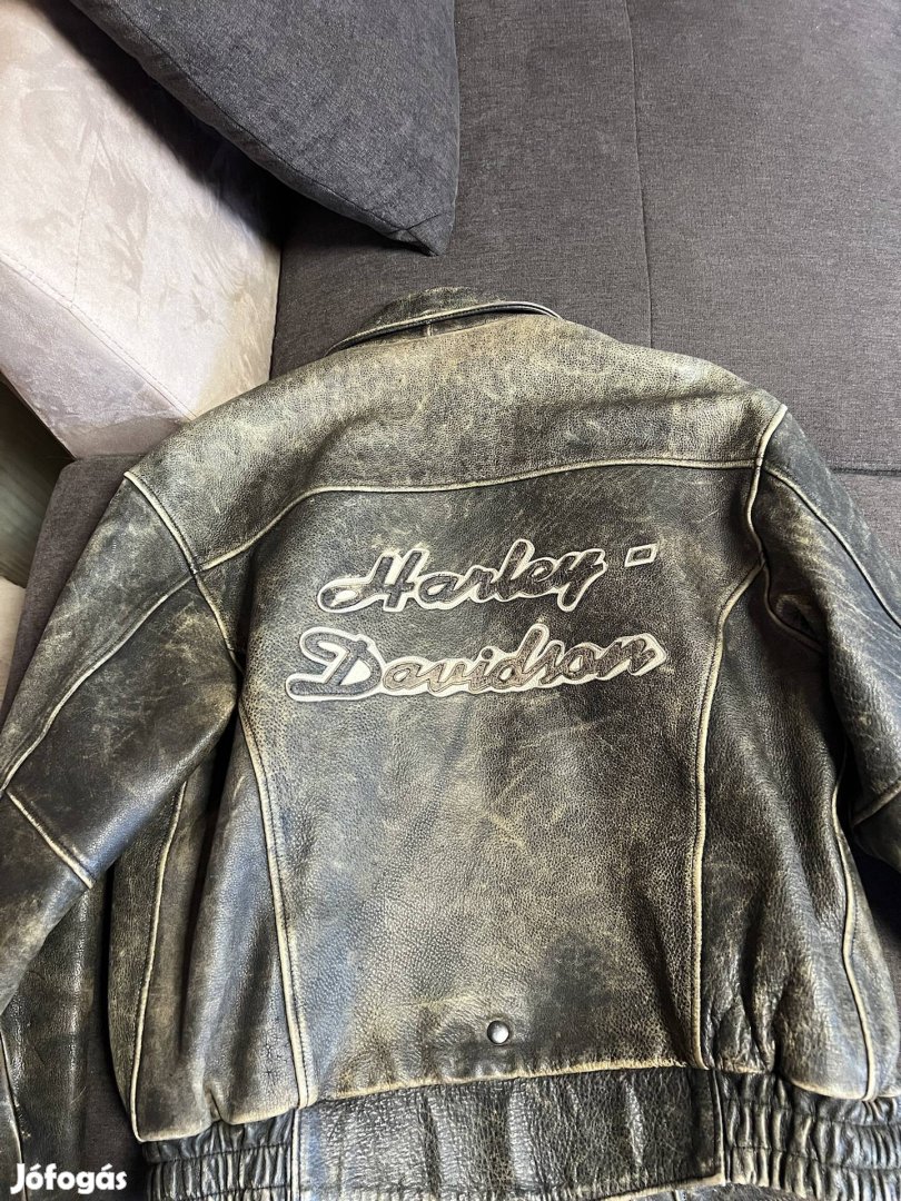 Harley dzseki 1