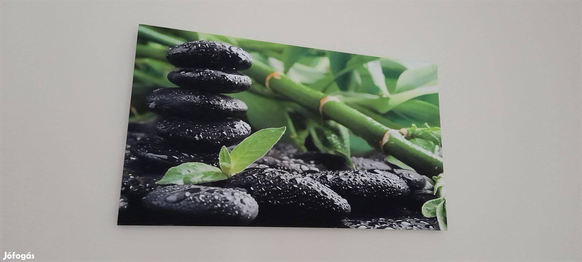 Harmónia. 70x40 cm -es új táblakép