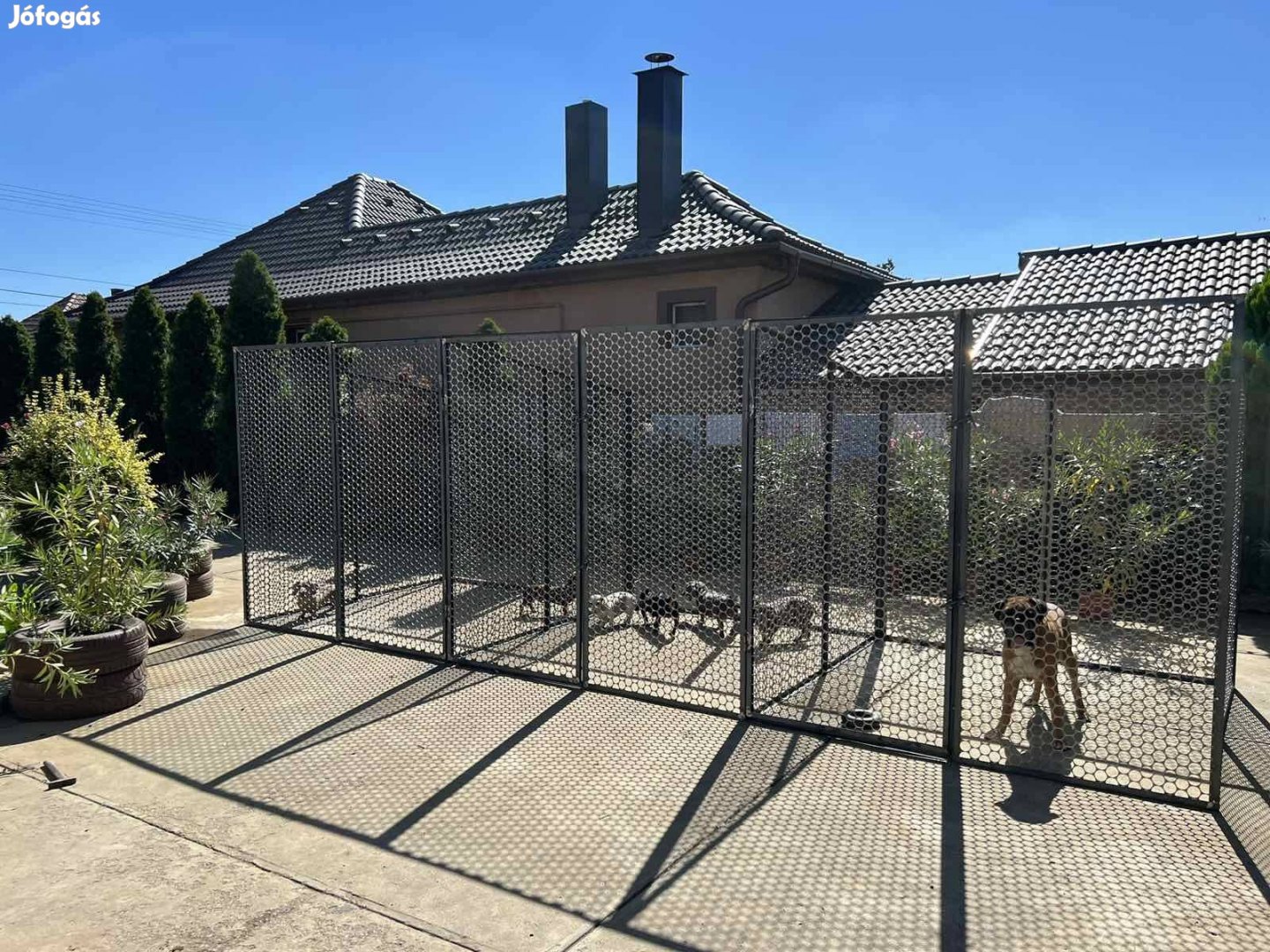 Háromkapus lemez kutya kennel (6*2m)