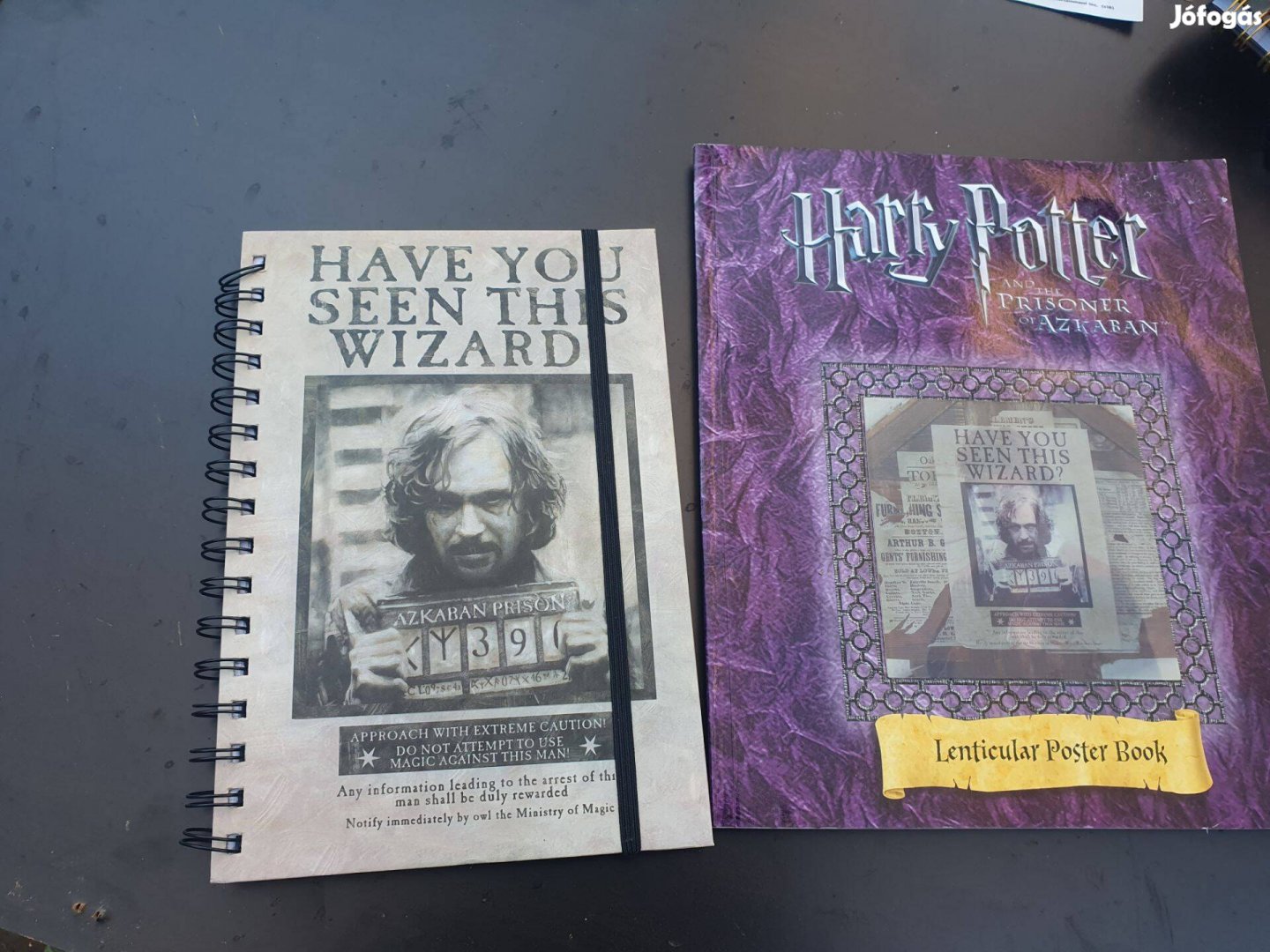 Harry Potter and The Prisoner of Azkaban - Lenticular Poster Book