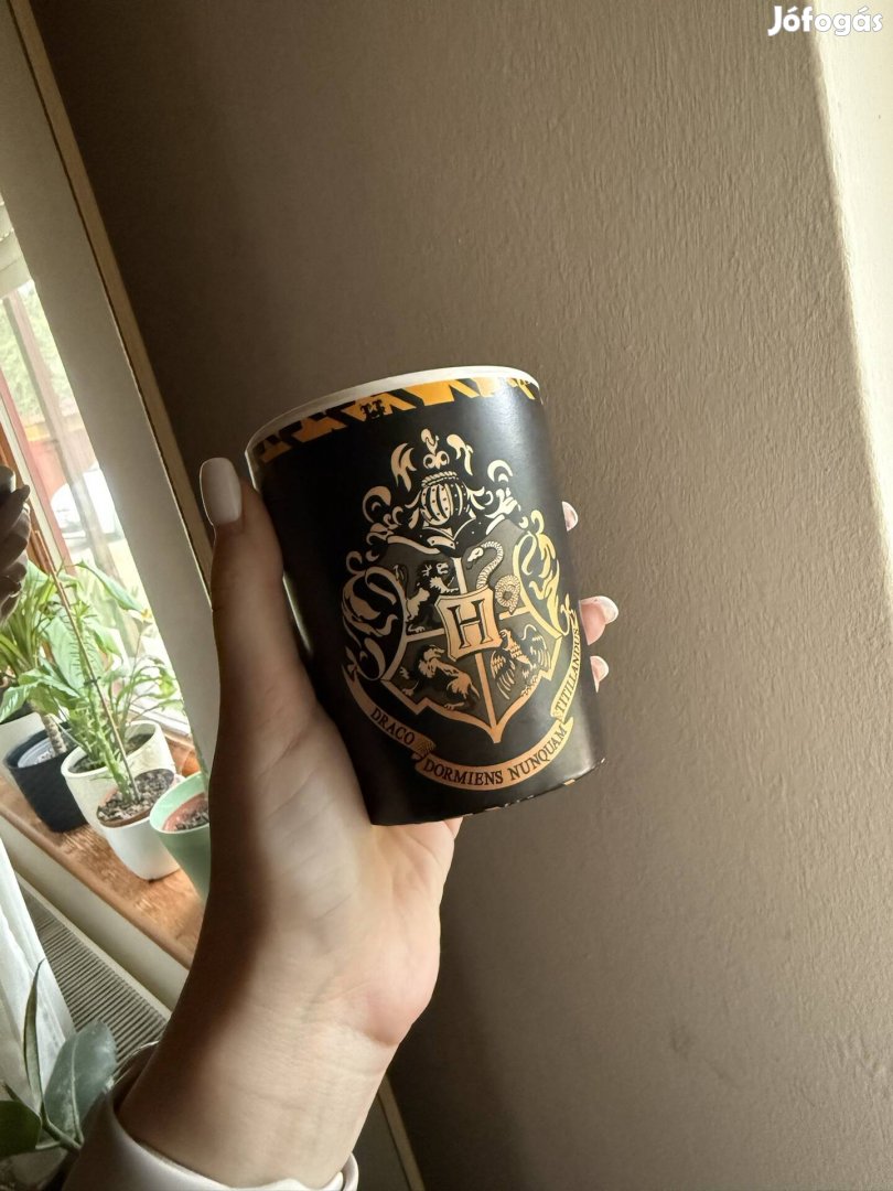 Harry Potter pohár