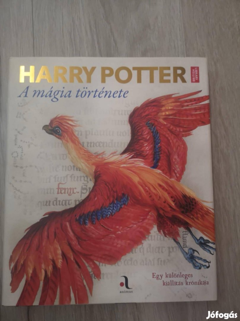 Harry potter - A mágia története könyv