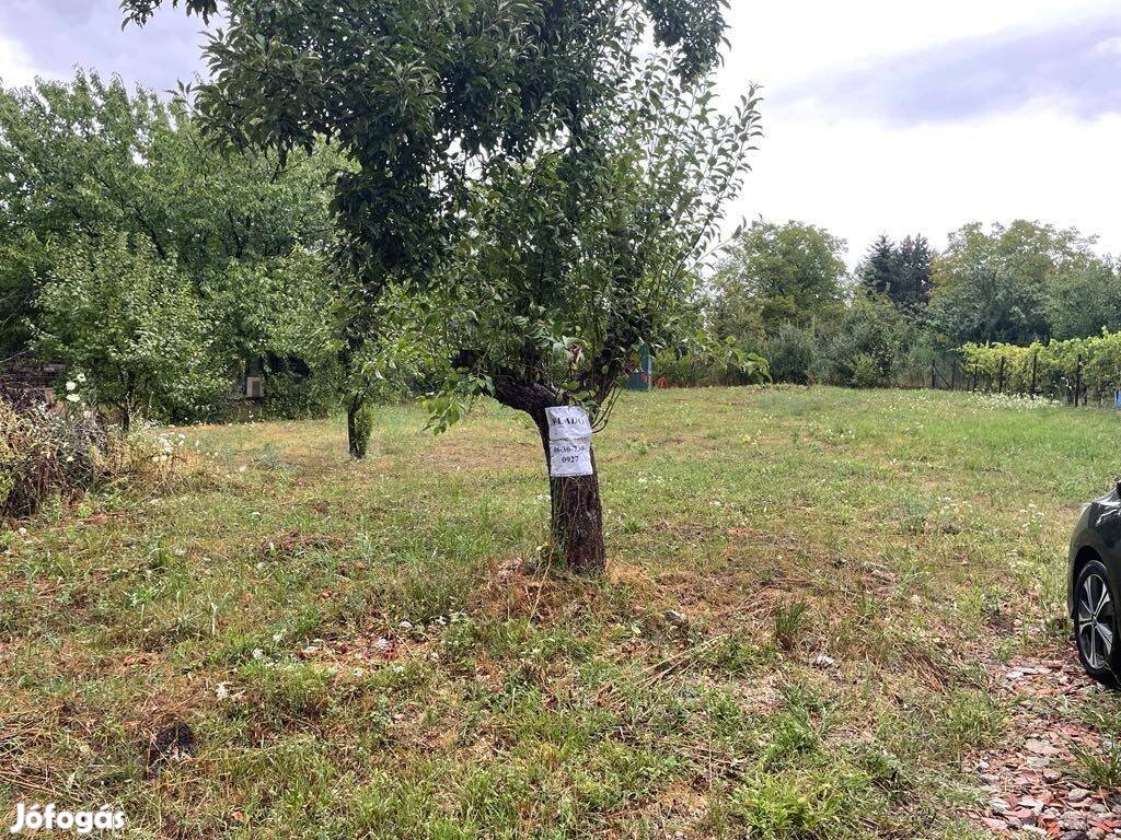 Harsányi horgásztó mellett építési telek eladó