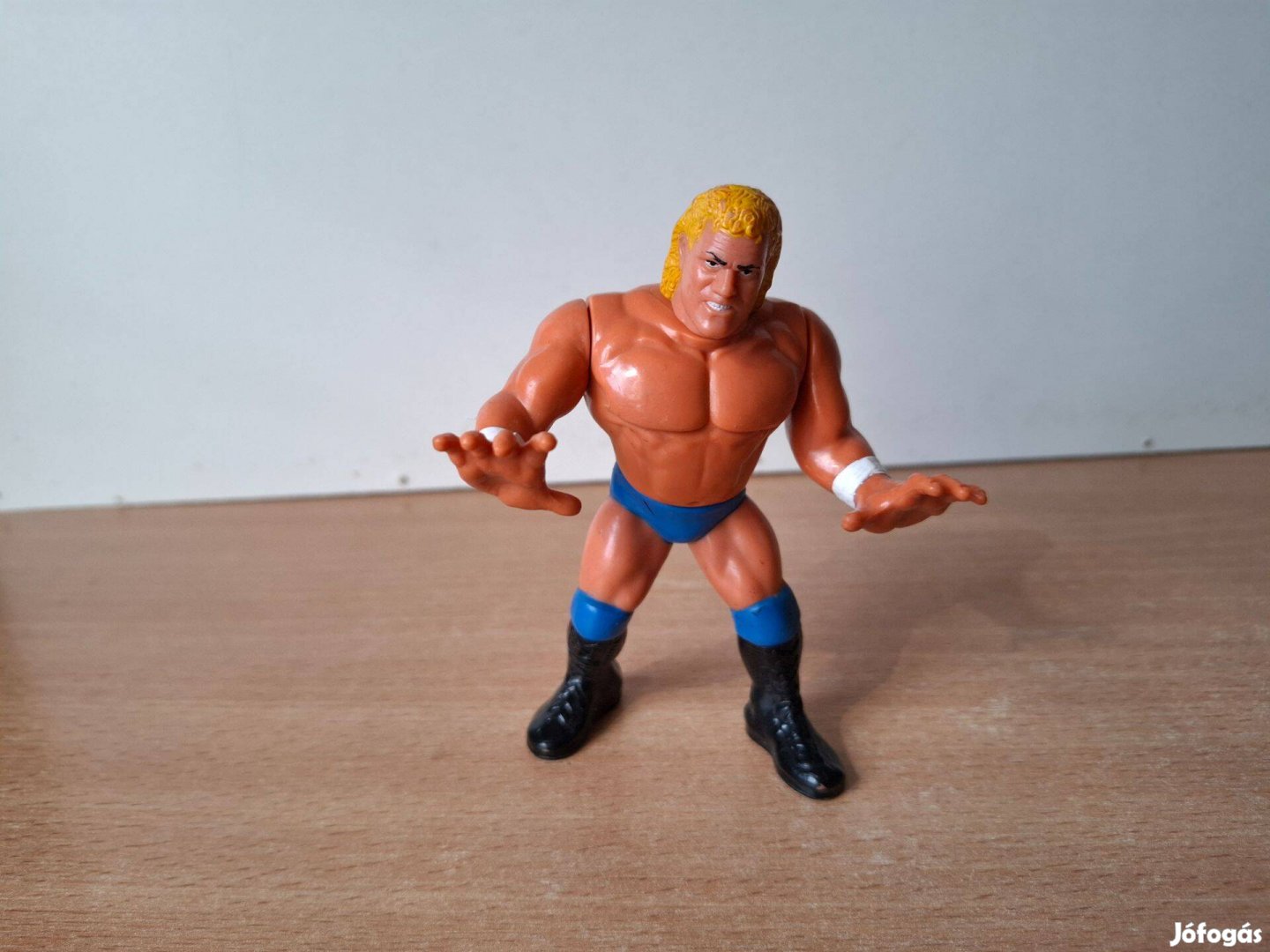 Hasbro Titan Sports 1991 WWF Sid Justice pankrátor figura