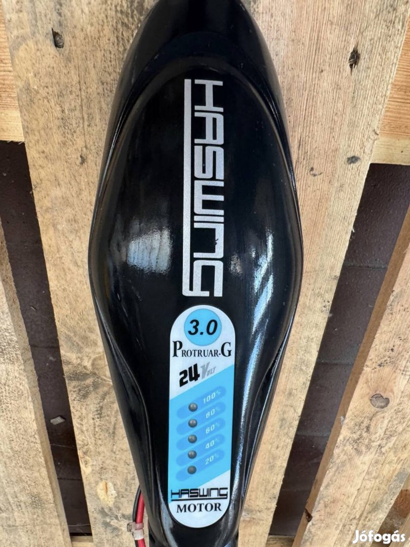 Haswing Protruar 3.0 110LB 24V