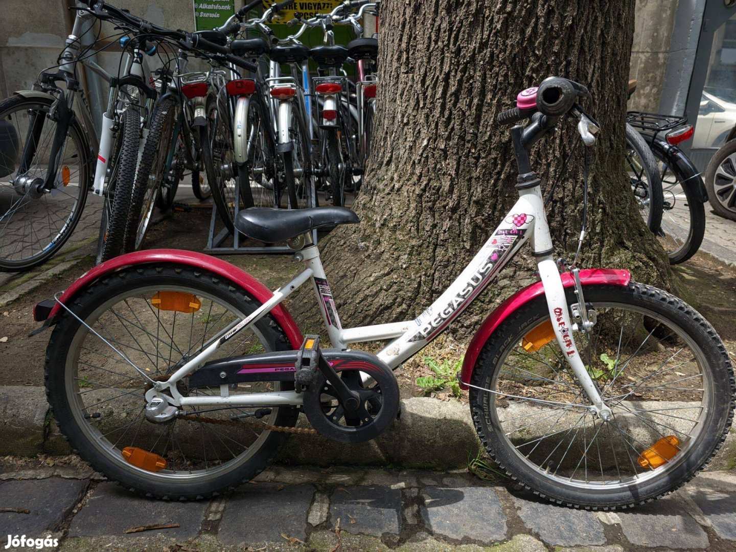 Használt 20as Gyermek kerékpár pegasus one girl (30cm)