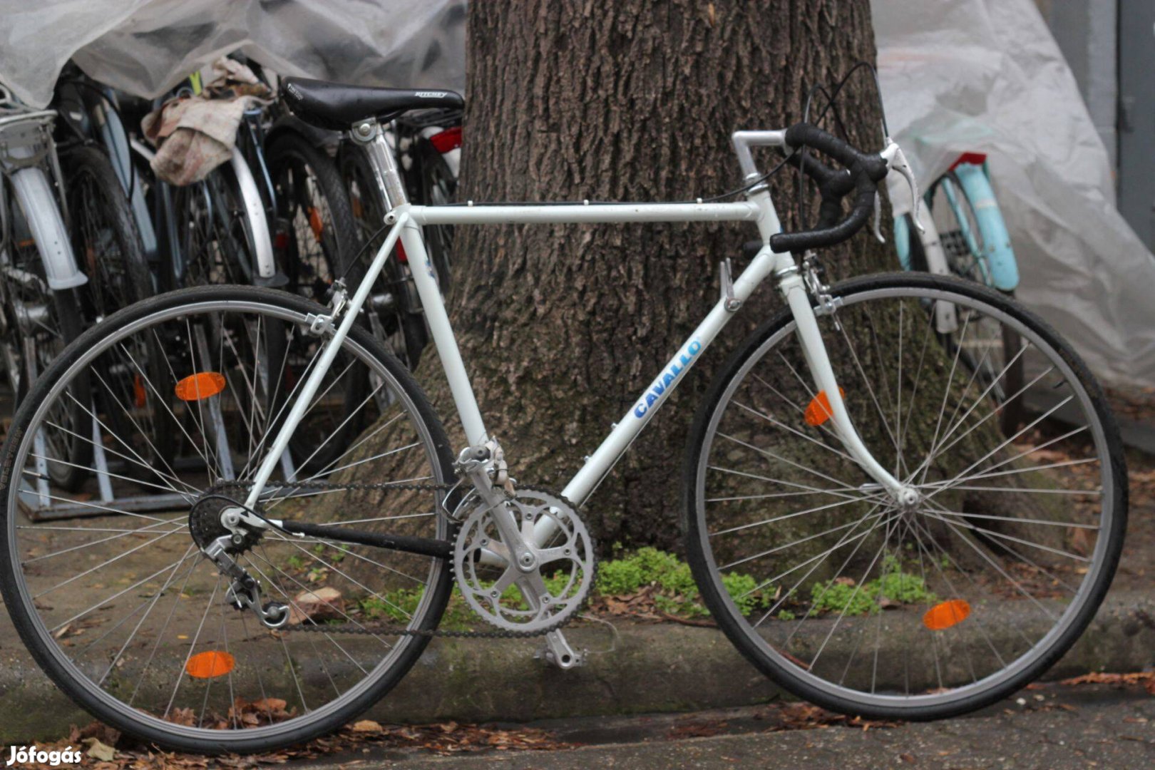 Használt Férfi Országúti kerékpár Cavallo (55cm )
