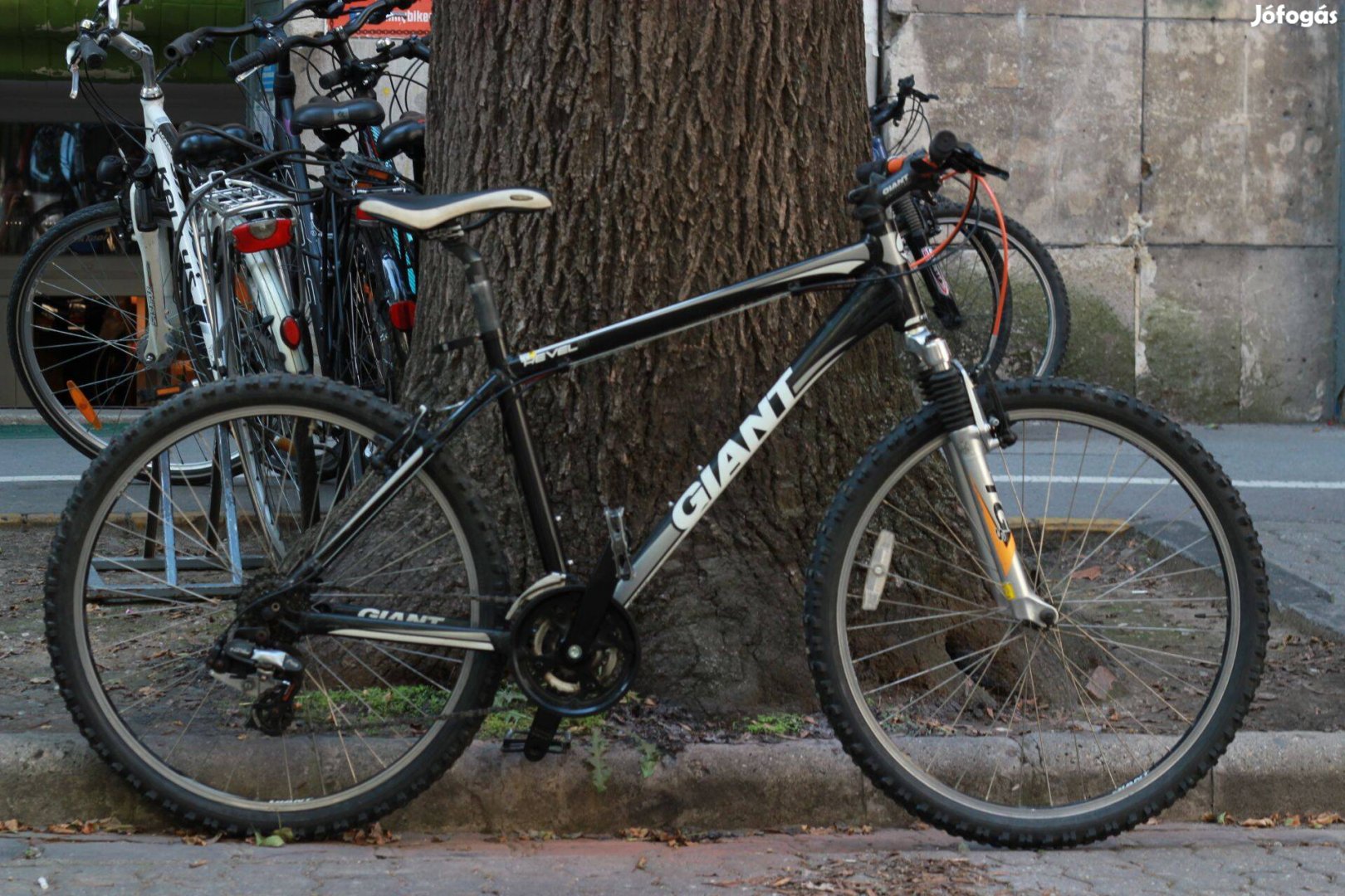 Használt Mtb kerékpár Giant Revel 3 (46 cm, Alu)