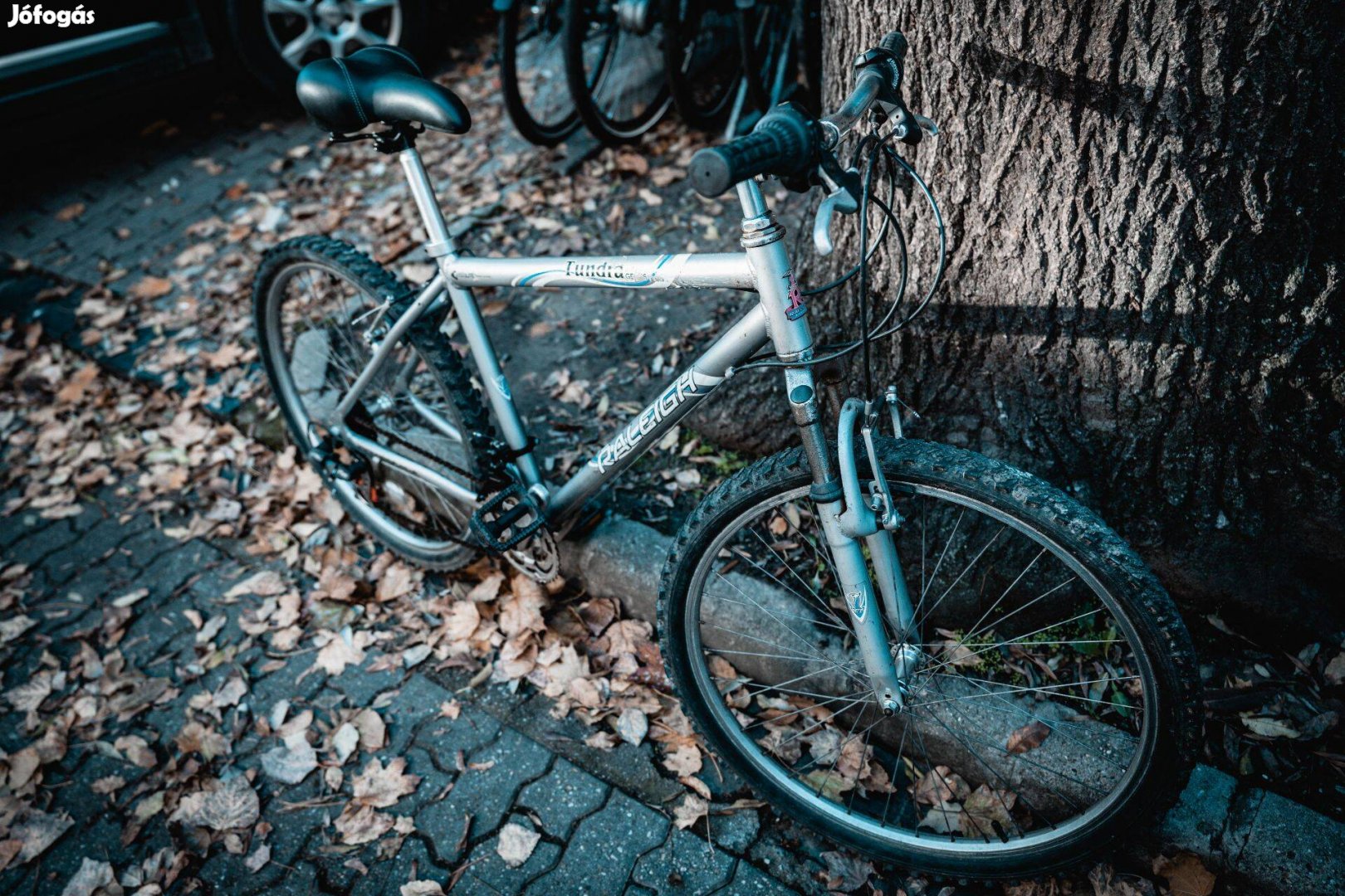 Használt Mtb kerékpár Raleigh Tundra (46cm Alu)