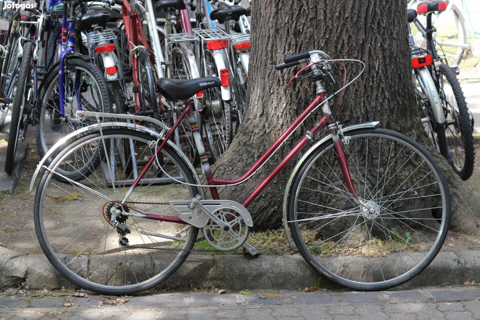 Használt női városi kerékpár Tigra 53cm
