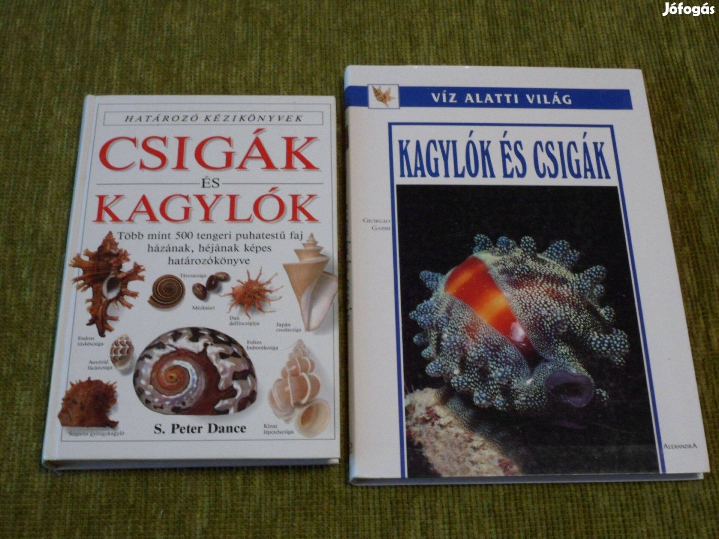 Határozó kézikönyvek: Csigák és kagylók + Kagylók és csigák
