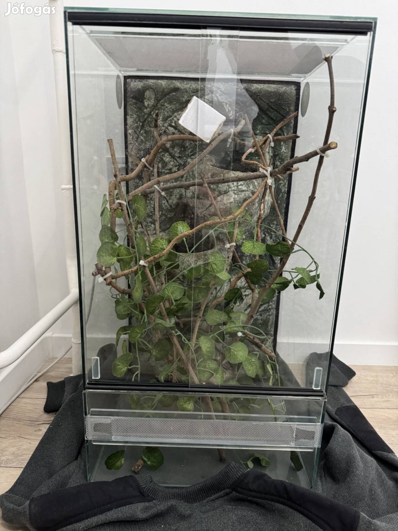 Hátterezett terrárium 35x35x65