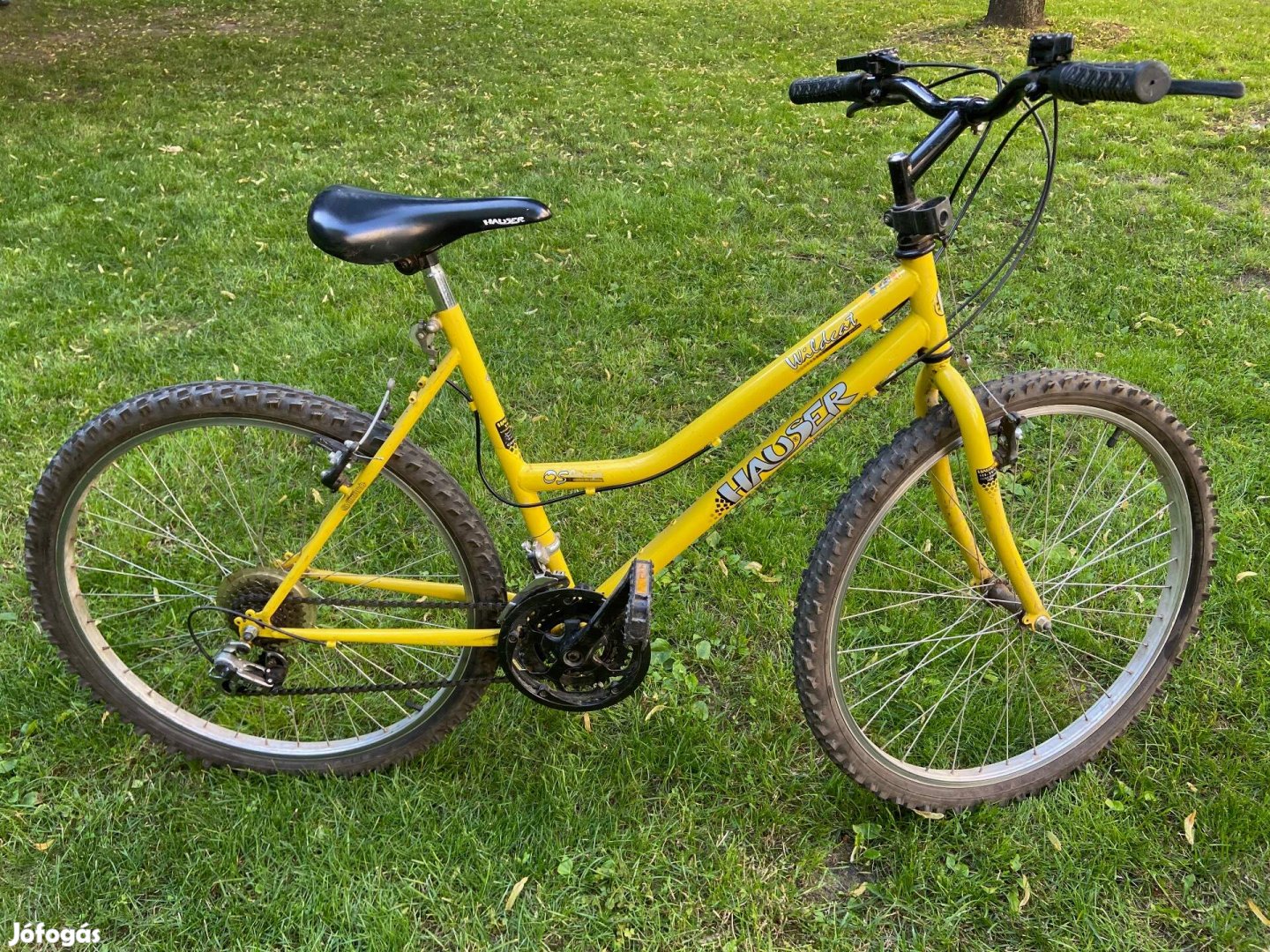 Hauser 24" női bicikli