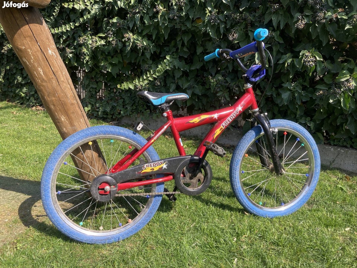 Hauser Freddy gyerek bicó
