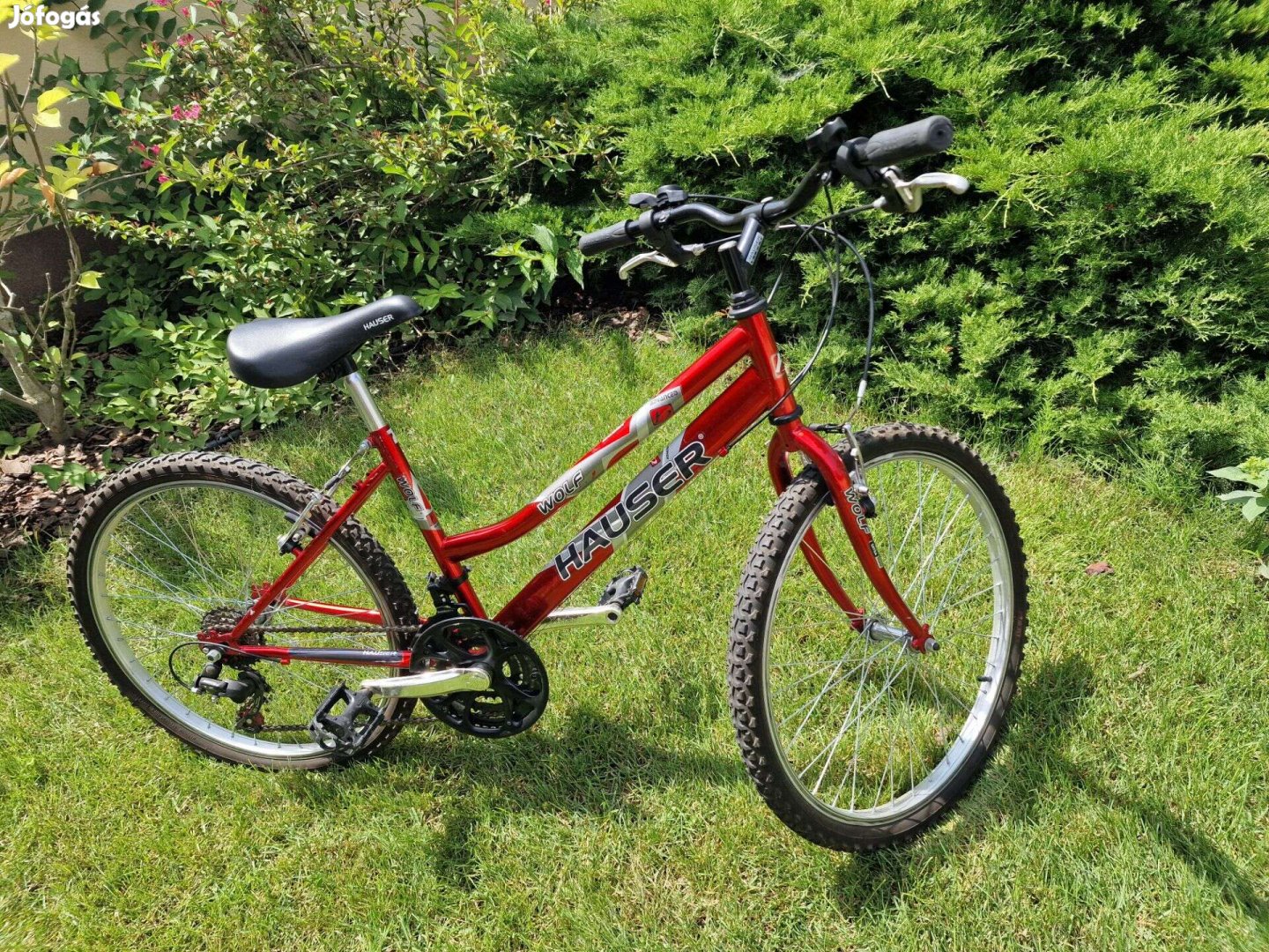 Hauser Wolf 24" kerékpár