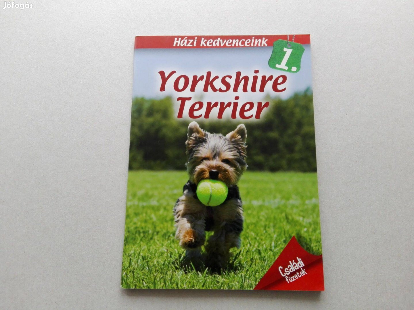 Házi kedvenceink 1. Yorkshire terrier -teljesen Új-