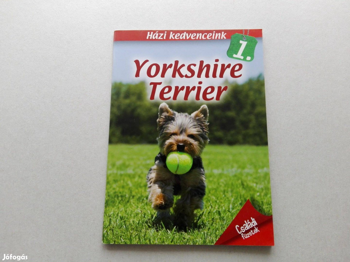 Házi kedvenceink 1. : Yorkshire terrier -teljesen Új- akciósan eladó!