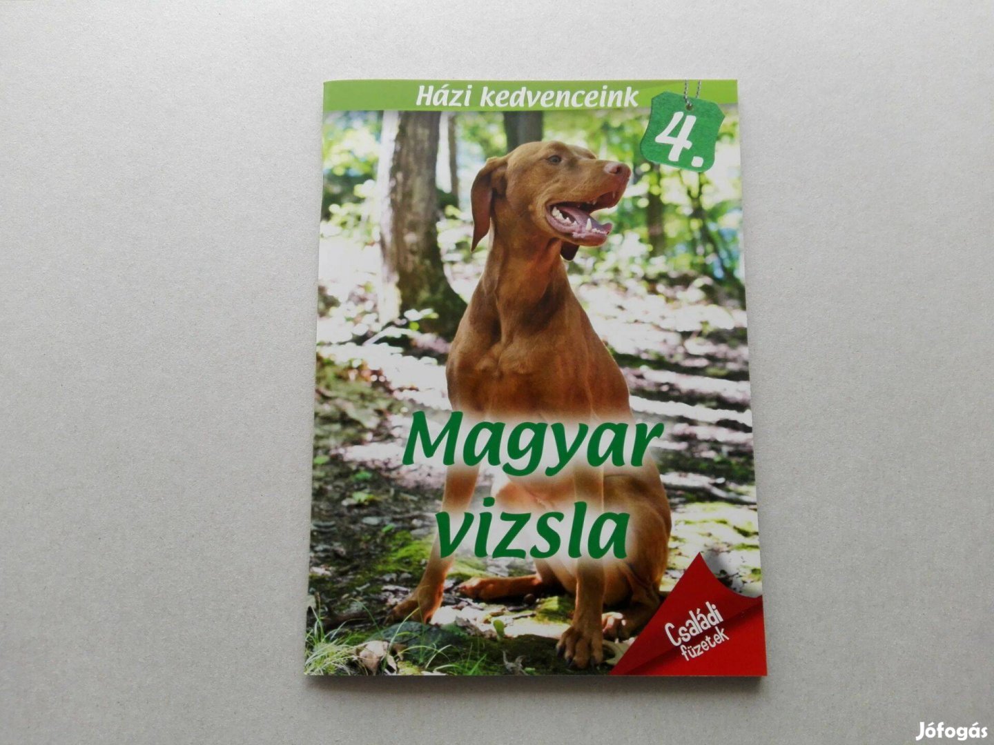 Házi kedvenceink 4. : Magyar vizsla -teljesen Új- akciósan eladó !