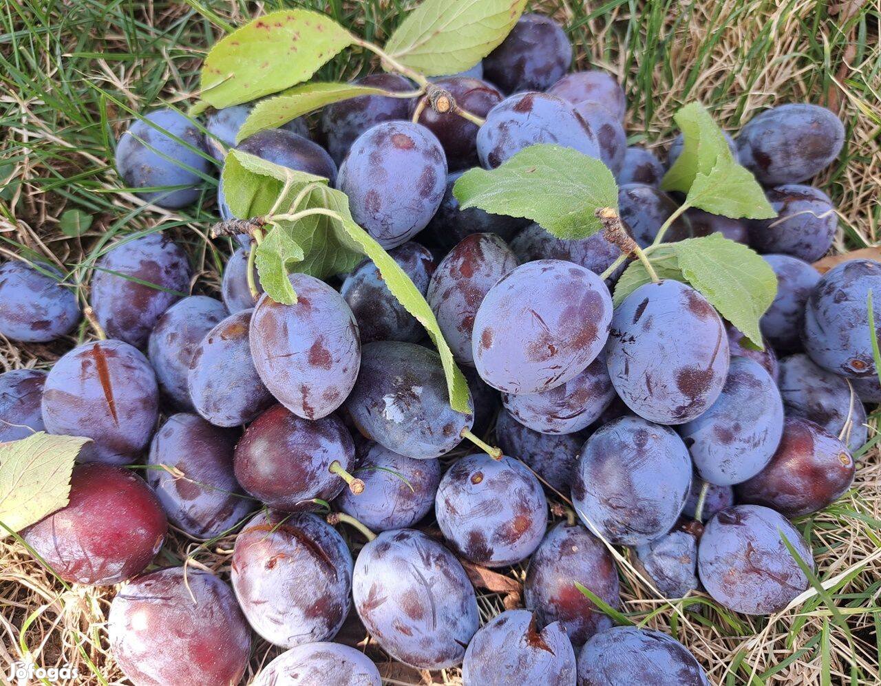 Házi szilvalekvár, szilva dzsem 700 grammos kiszerelésben