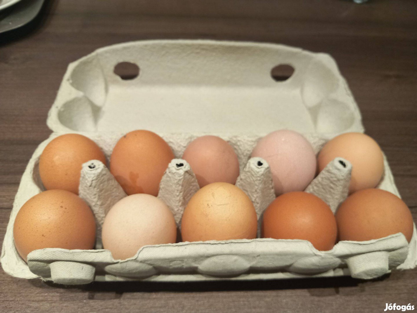 Házi tojás eladó