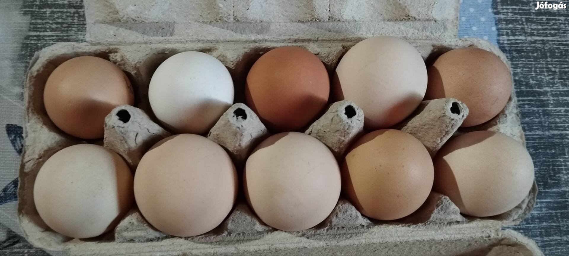 Házi tojás eladó