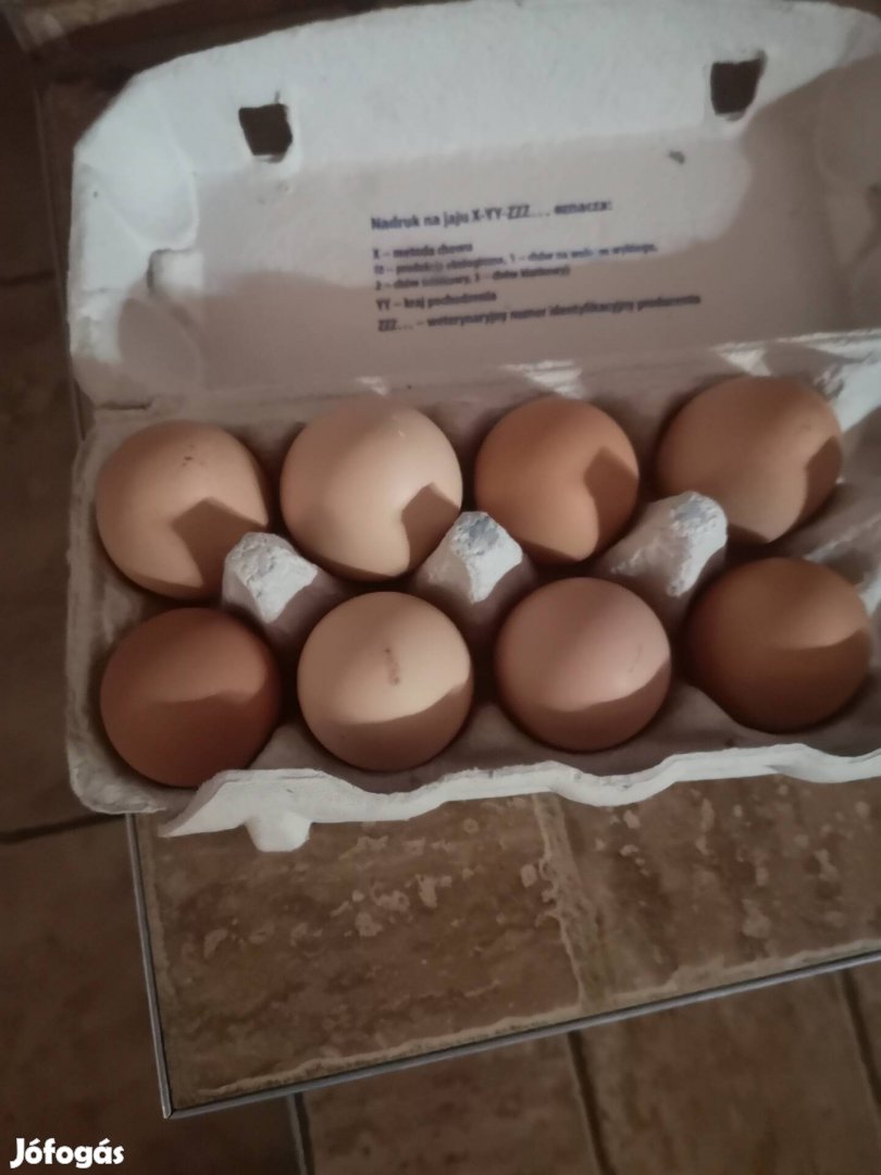 Házi tojás eladó 
